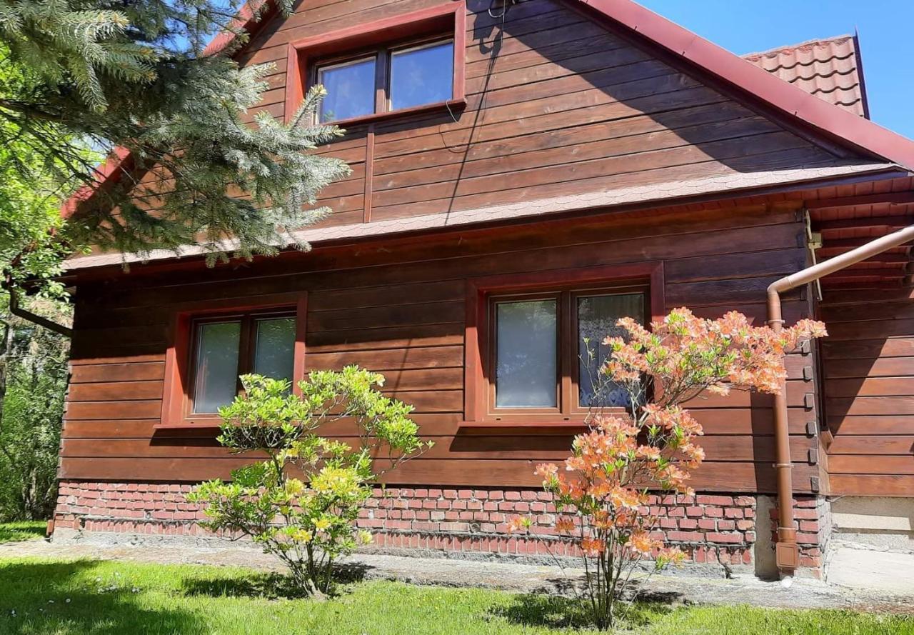 Domek Zacisze Laskowa  Экстерьер фото